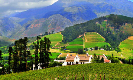 Stellenbosch Reserve