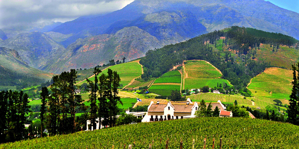 Stellenbosch Reserve