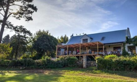 Shannon Vineyards