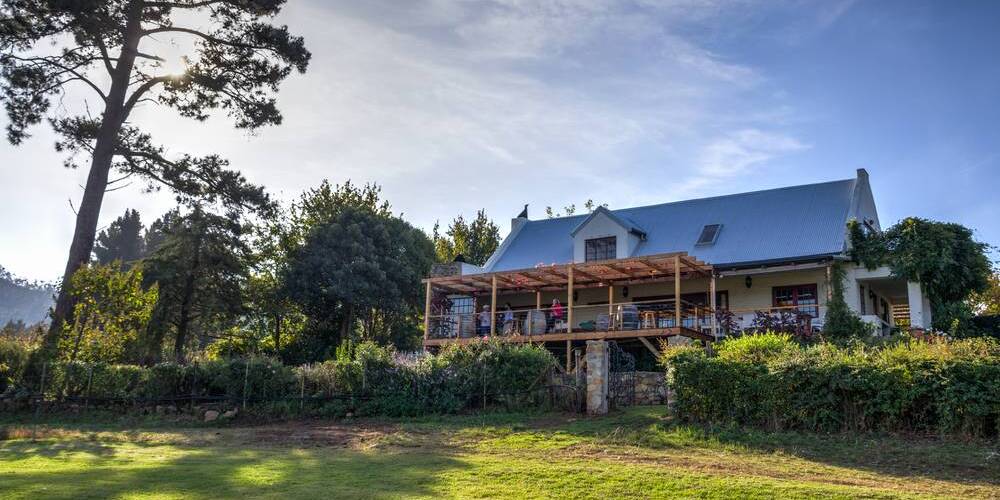 Shannon Vineyards