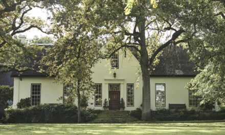 Rustenberg Wines