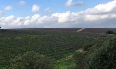 Boschkloof