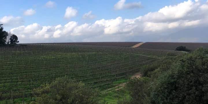 Boschkloof