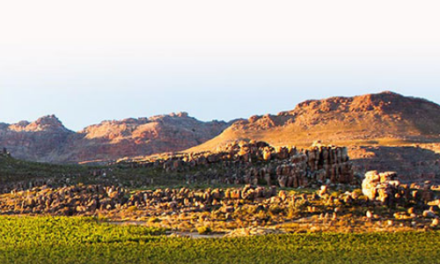Cederberg PrivatE Cellar