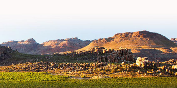 Cederberg PrivatE Cellar