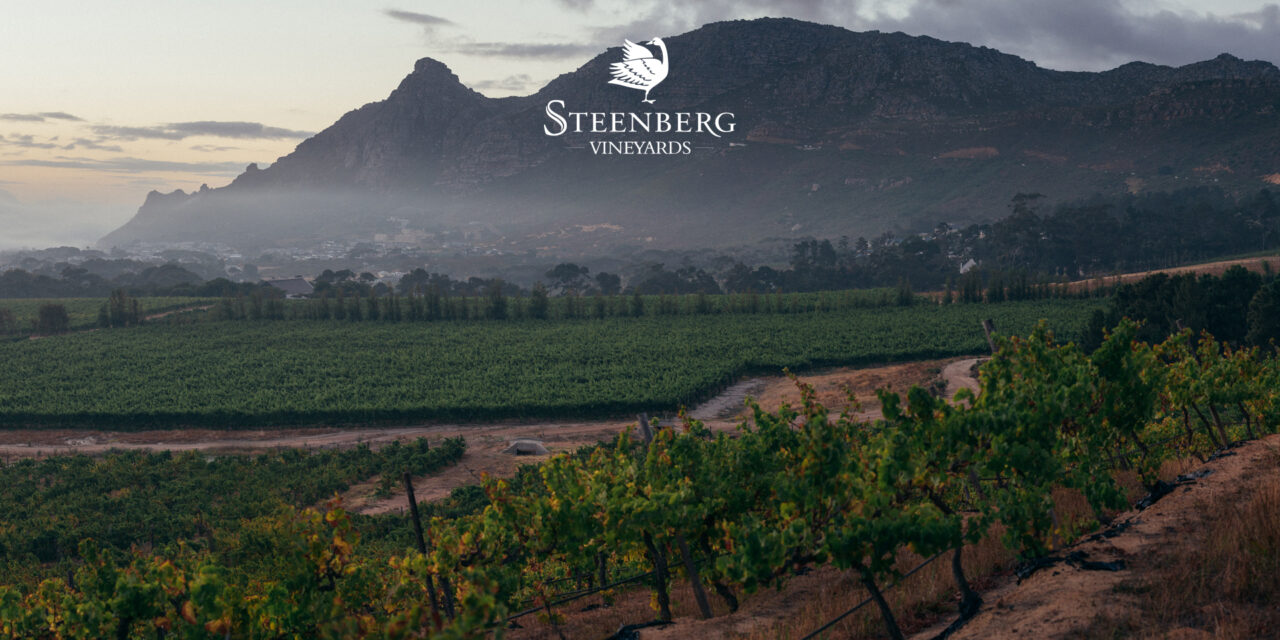 Steenberg Vineyards