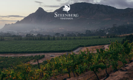 Steenberg Vineyards