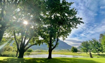 Saronsberg