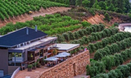 Hidden Valley Wines