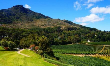 Beau Constantia