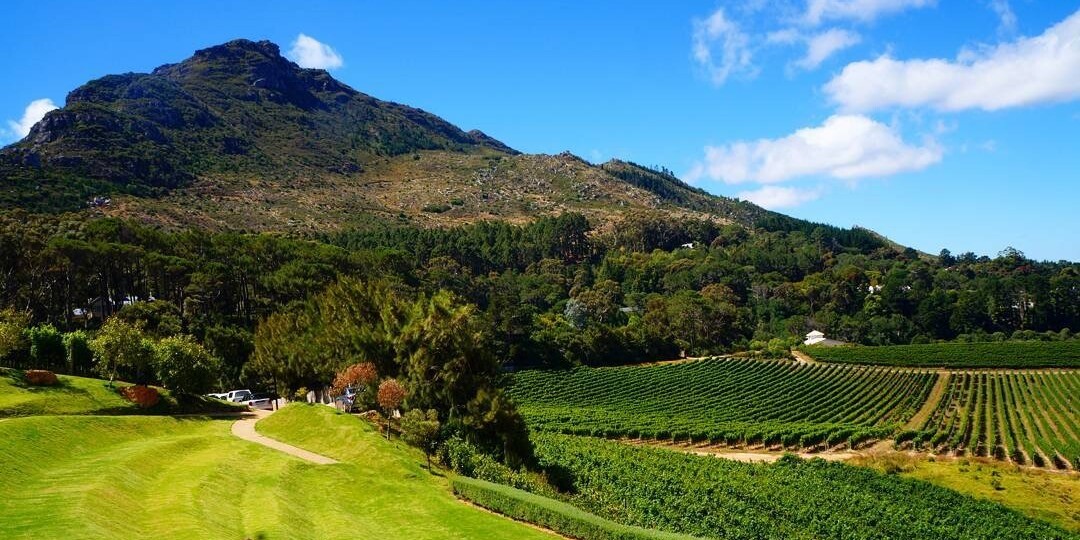Beau Constantia