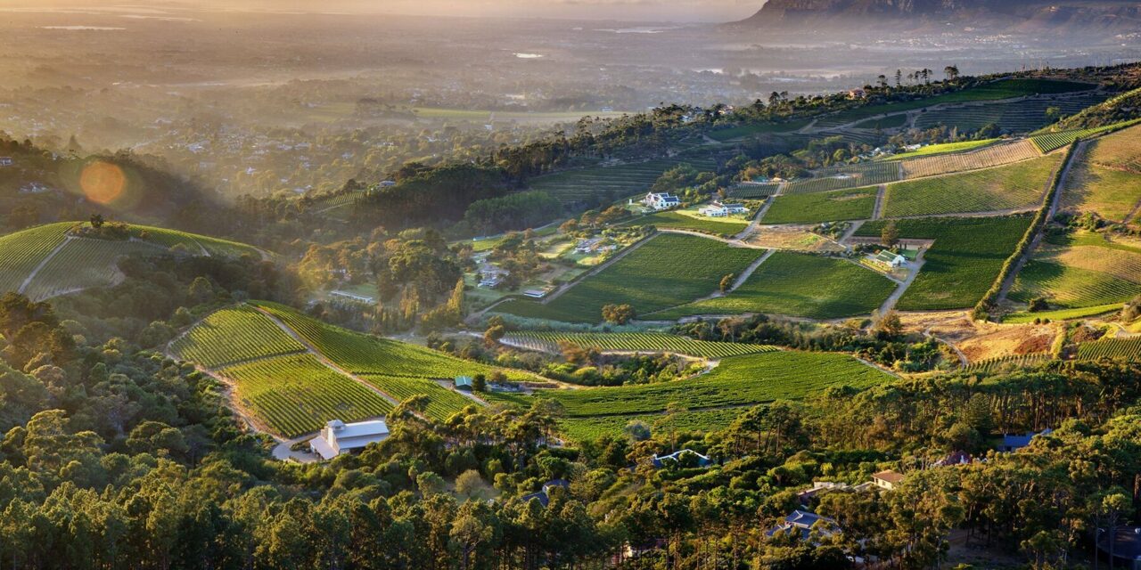 Constantia Glen