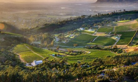 Constantia Glen