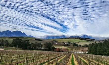 Clos Malverne