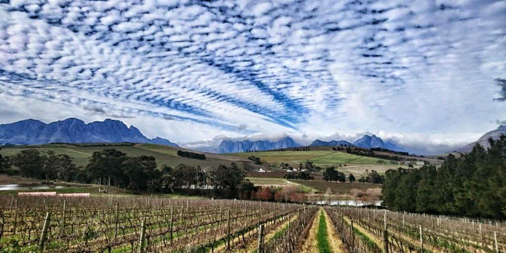 Clos Malverne