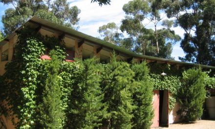 De Trafford Wines