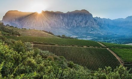 Thelema Mountain Vineyards