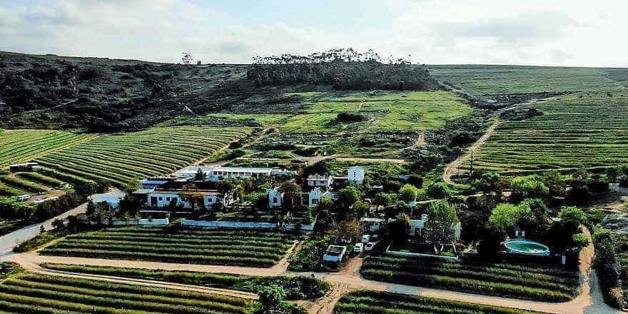 Badenhorst Family Wines