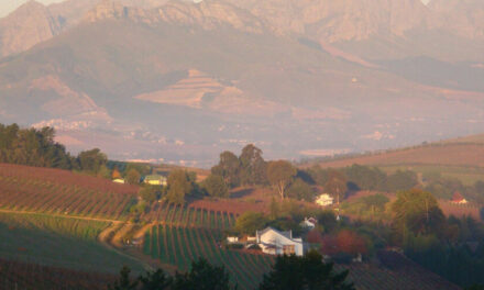 Meinert Wines