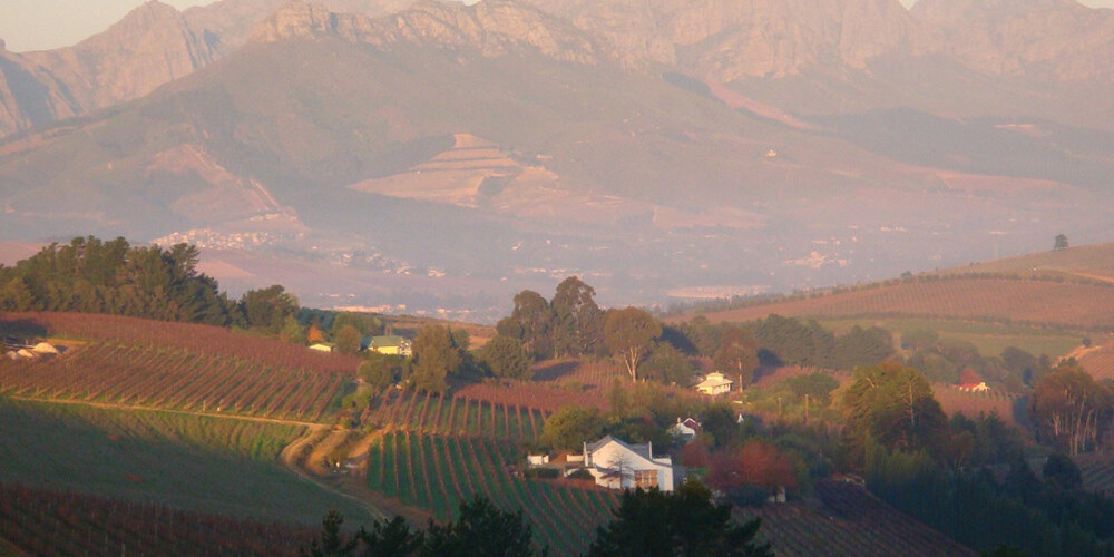 Meinert Wines