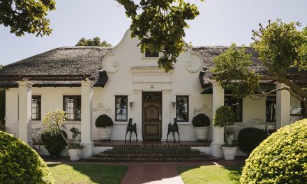 Saxenburg Wines