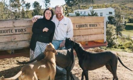 Luddite Wines