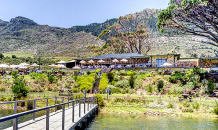 Cape Point Vineyards
