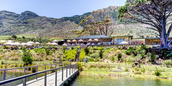 Cape Point Vineyards