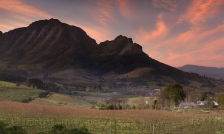 Delaire Graff Estate