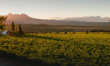 Cederberg