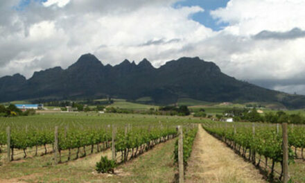 Helderberg Winery