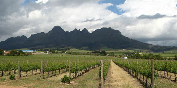 Helderberg Winery