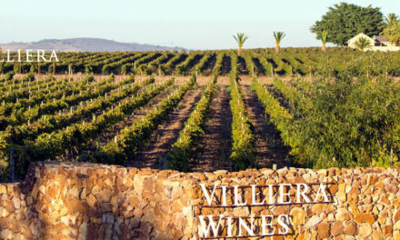 Villiera