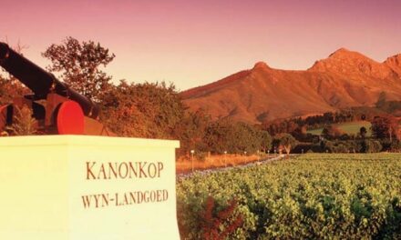 Kanonkop Estate