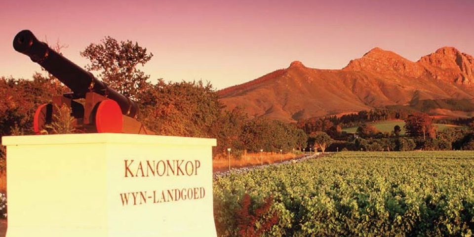 Kanonkop Estate