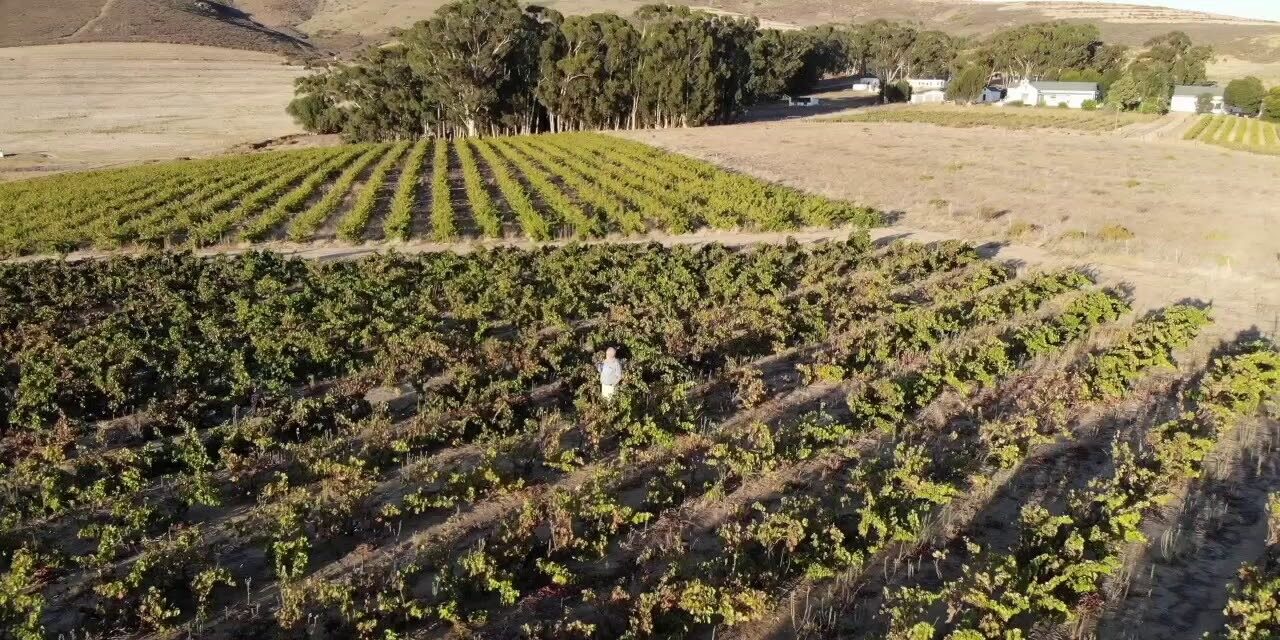 Naudé Wines