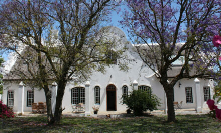 Jacaranda