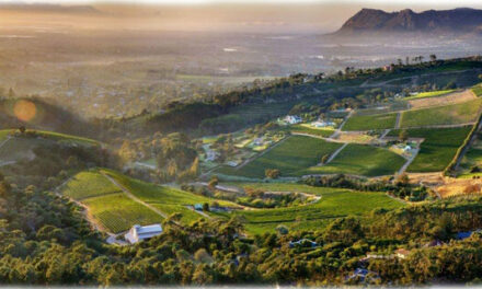 Constantia