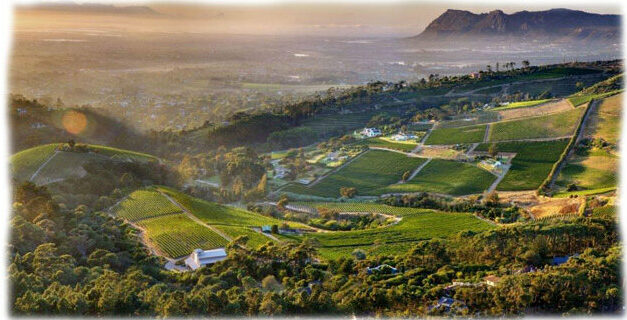 Constantia