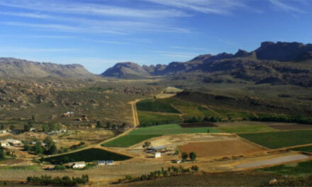 Piekenierskloof