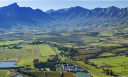 Tulbagh