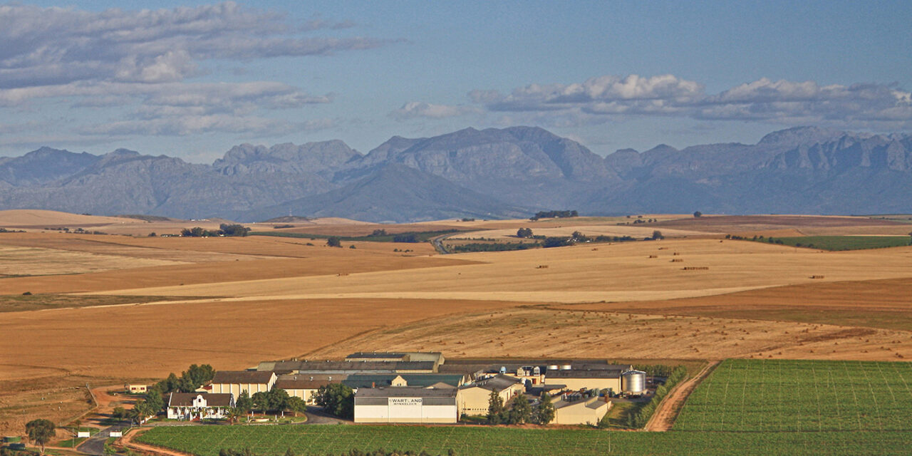 Swartland Winery