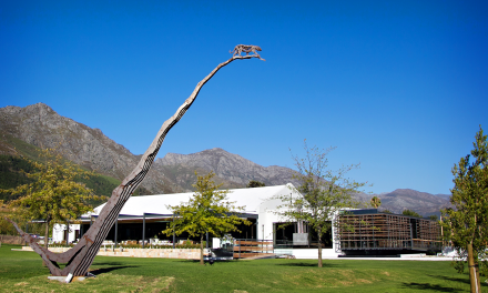 Leopards Leap