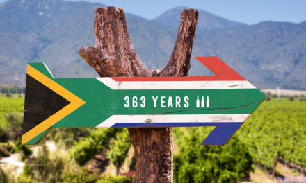 363 Jahre Südafrika Weine
