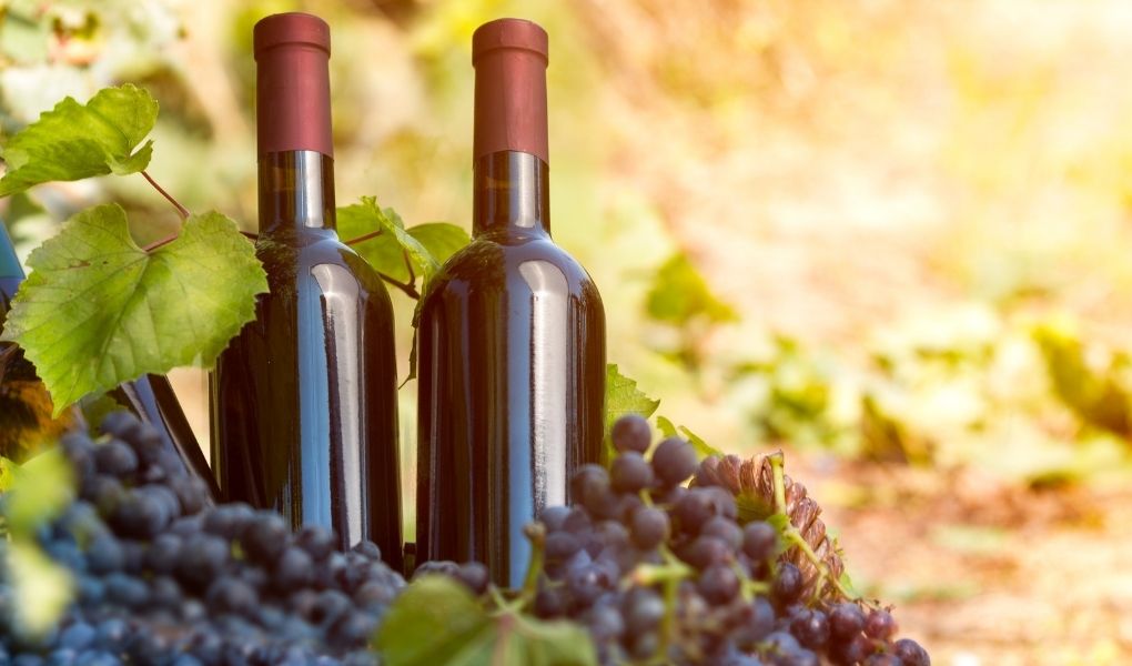 Fact #41 – Wann begann das Old Vine Projekt in Südafrika?