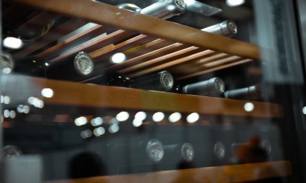 TIPP #52 – Wie den Wein korrekt Lagern?