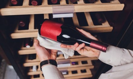 Fact #52 – Die optimale Luftfeuchtigkeit im Weinkeller