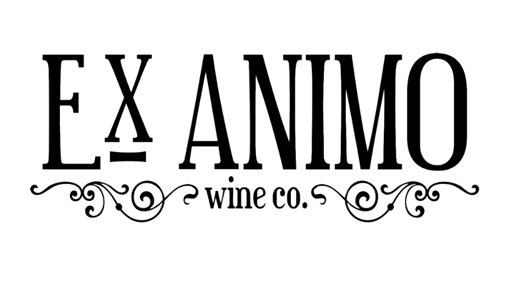 Der Podcast der Südafrika Weine
