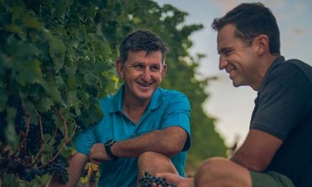 Harvest Season: Ernie Els Wine