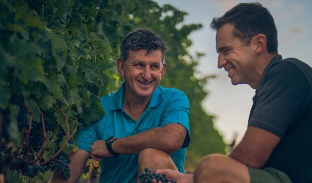Ernte Saison: Ernie Els Wine